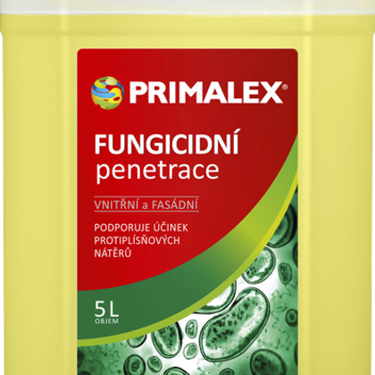 PROTIPLESŇOVÁ PENETRÁCIA